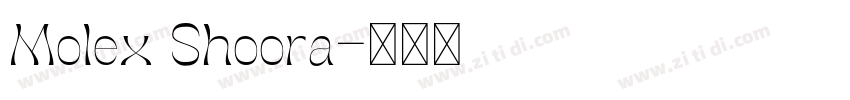 Molex Shoora字体转换